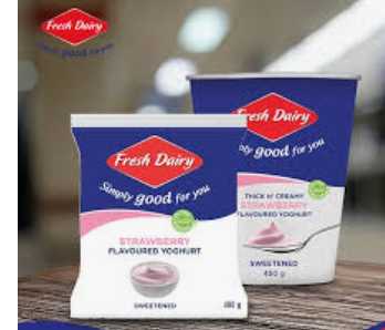 Fresh dairy yoghurt
