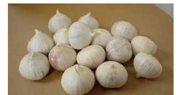 Single seed garlic