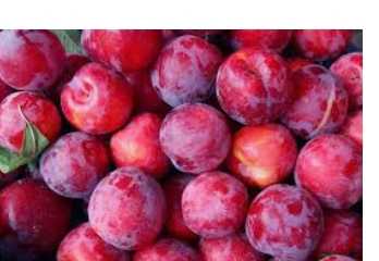 Local plums
