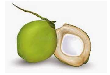 Imported green coconut 