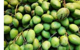 Green mangoes small