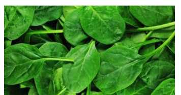 Chinese baby spinach