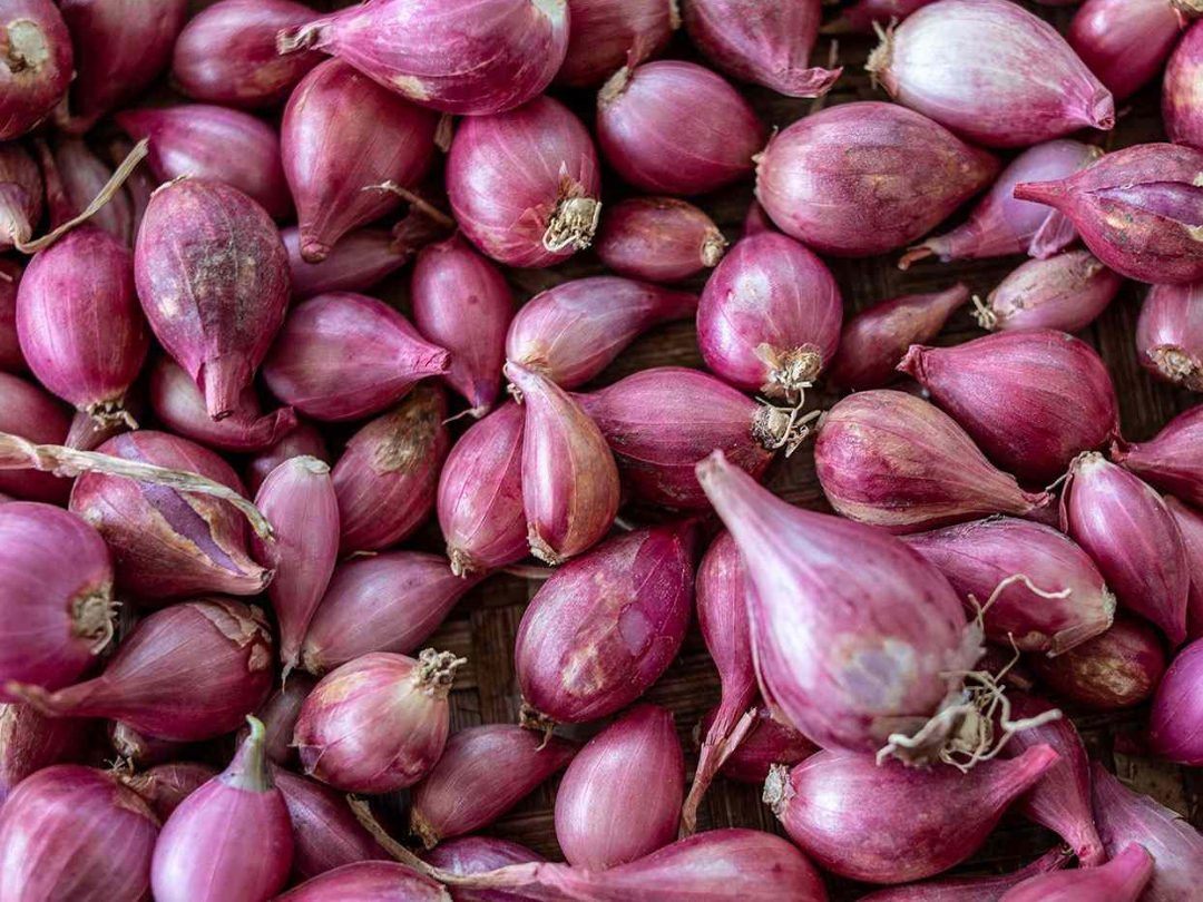 Shallot onions 1kg