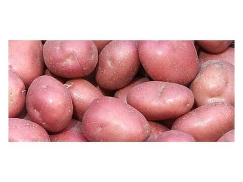 Alika potatoes 1kg