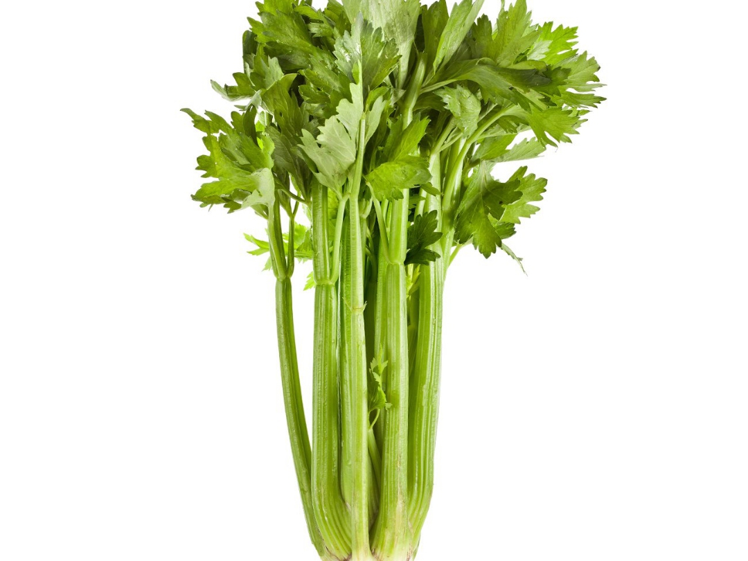 Celery 1pc